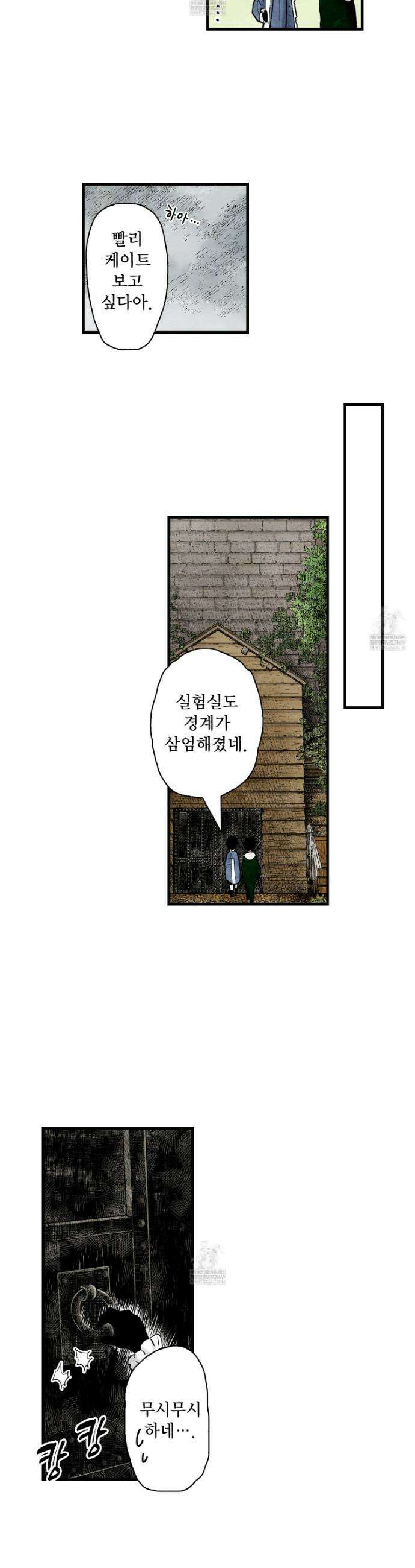 섀도 하우스 232화 16