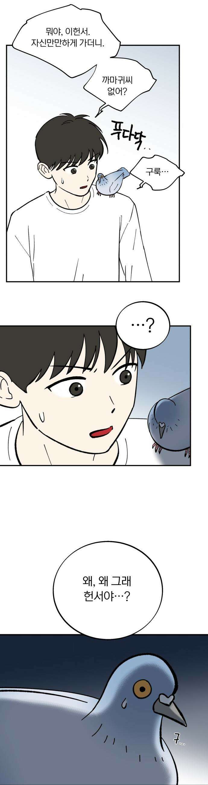 성북구 비둘기 이헌서 - 72화) 이방인 4