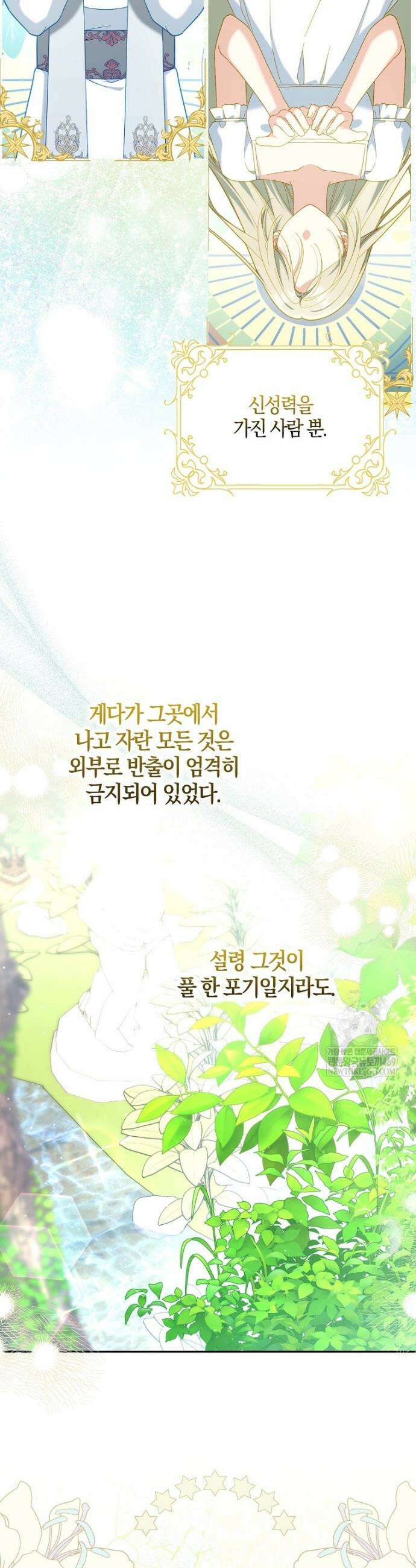 흑막 공작님의 가족이 되려 합니다 25화 3