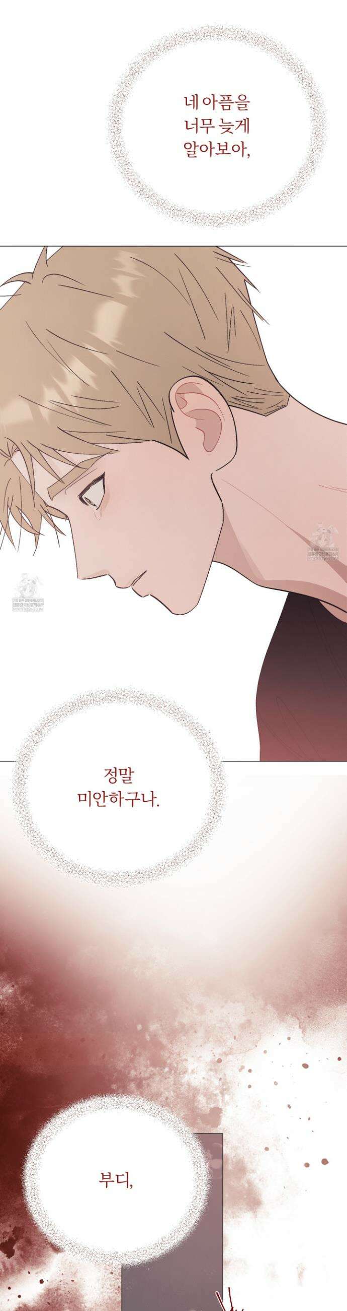 홍실퀘스트 51화 12