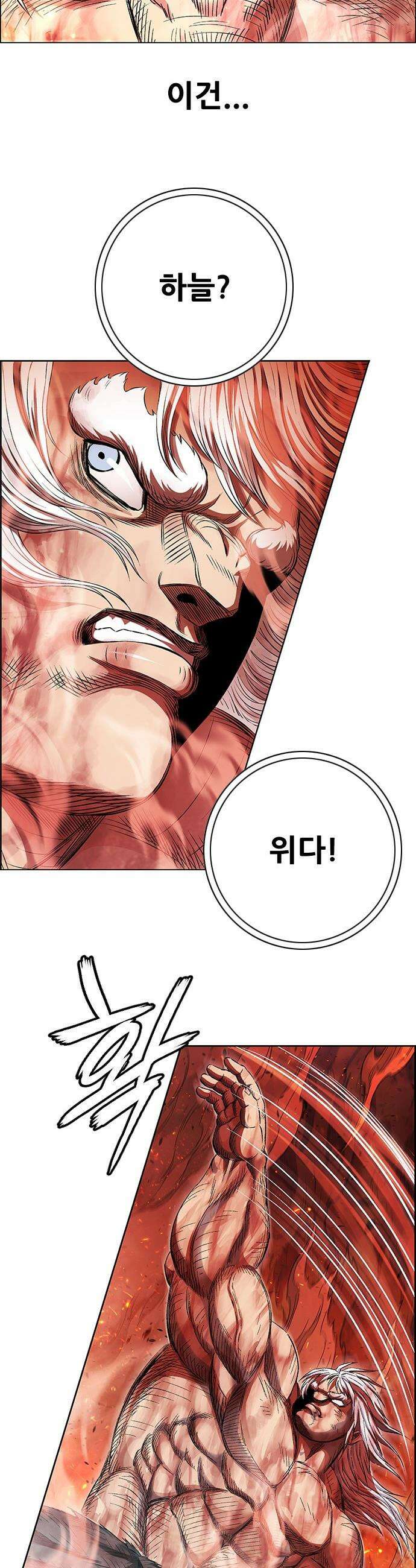 호랑이형님 - 3부121화 압카 대 아린9 70