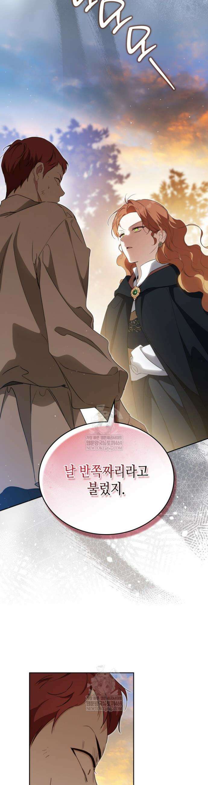 이번 생은 가주가 되겠습니다 214화 19
