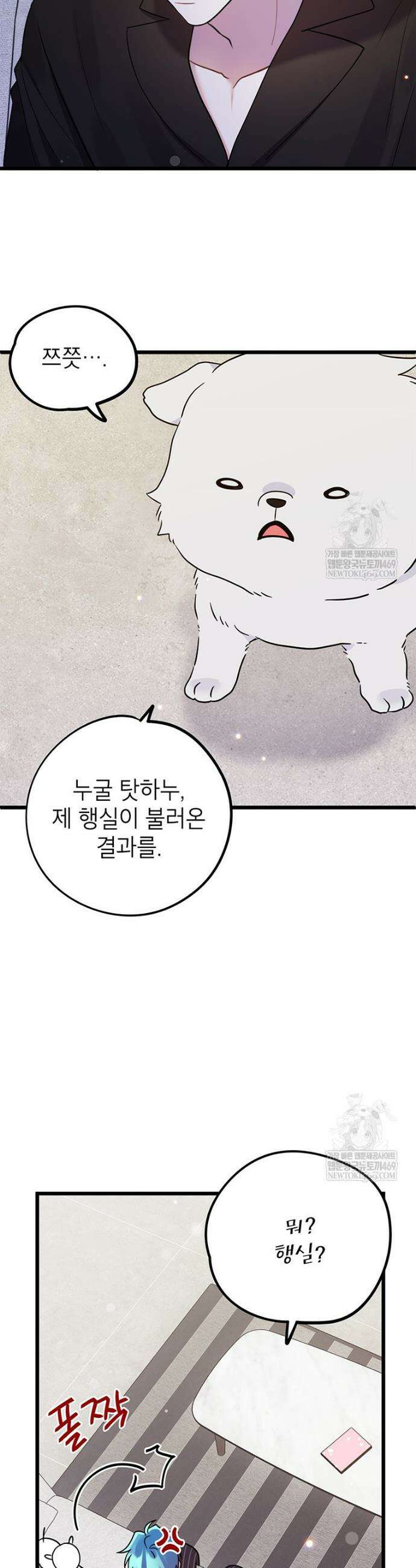 아이돌이 아니라 퇴마사로 데뷔해 버렸다 52화 8