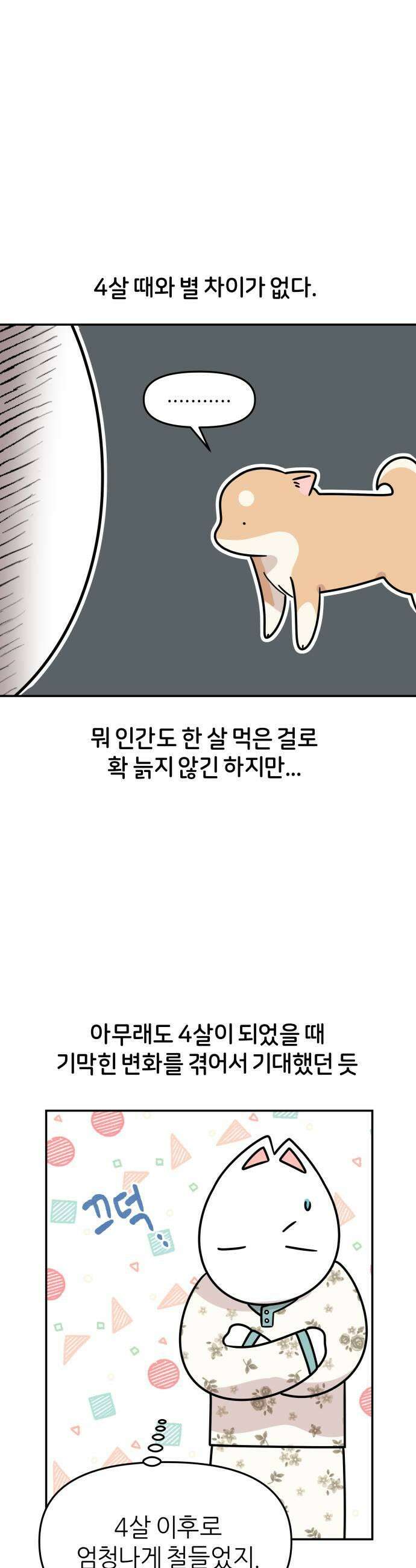 시바, 만만치 않다 84화 한 살 더 먹기 5
