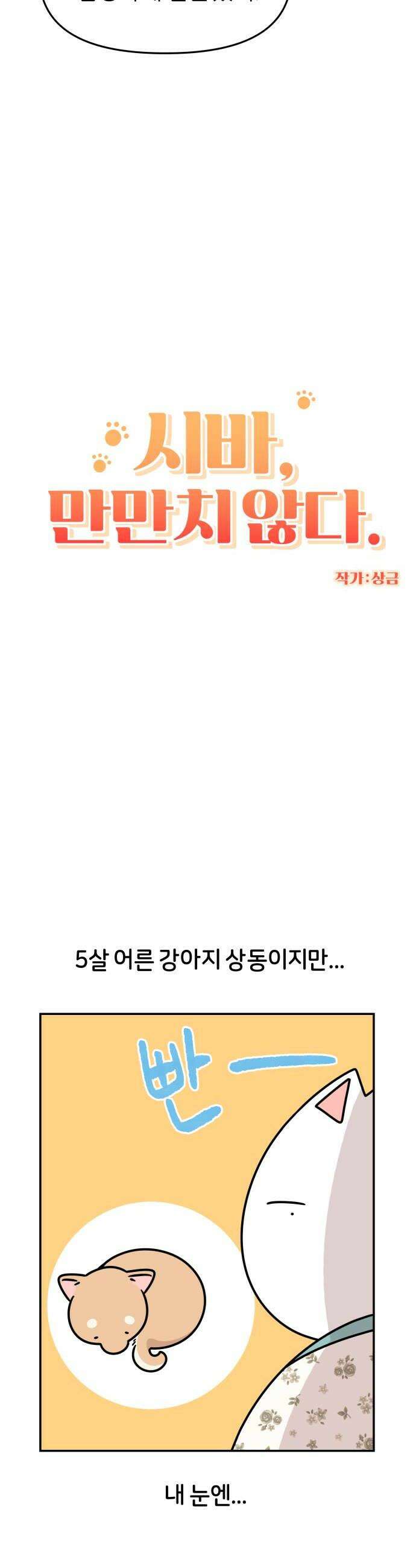 시바, 만만치 않다 84화 한 살 더 먹기 6