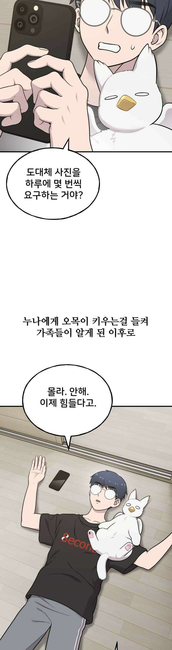안녕 오목눈이 그리핀! 32화 실키 그리핀들 8