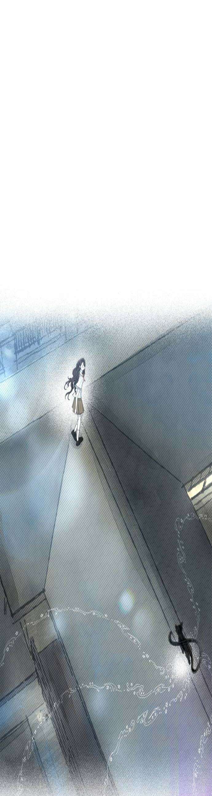아이캣치유 11 100 1