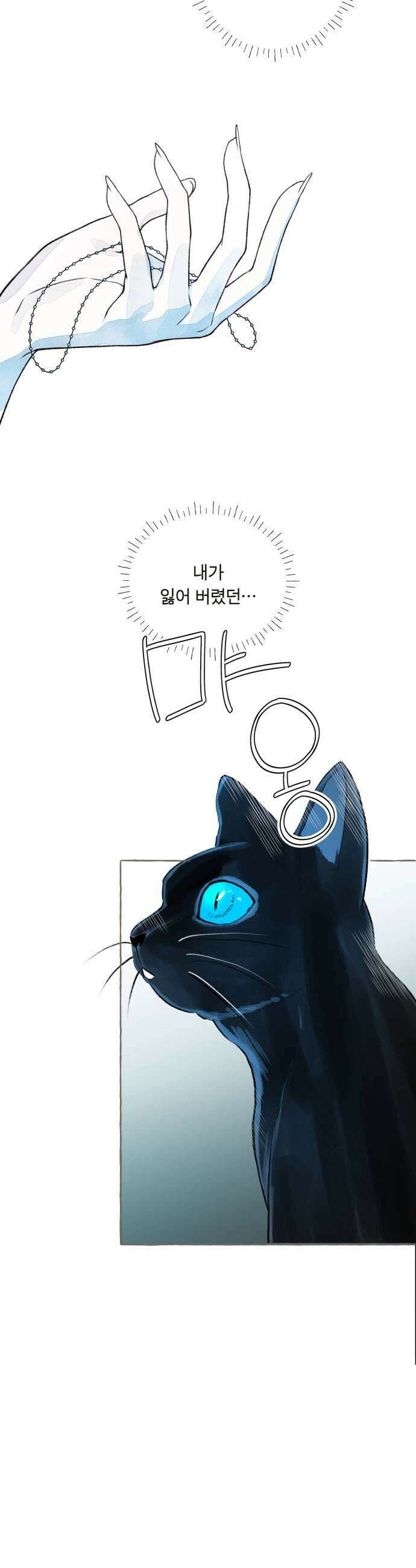 아이캣치유 11 100 9