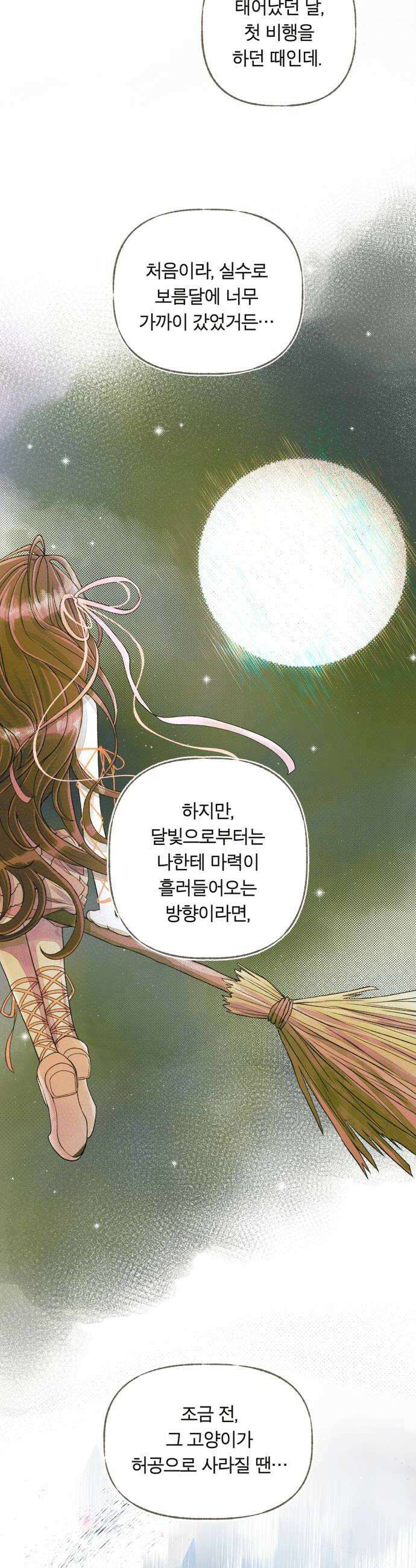 아이캣치유 11 100 20