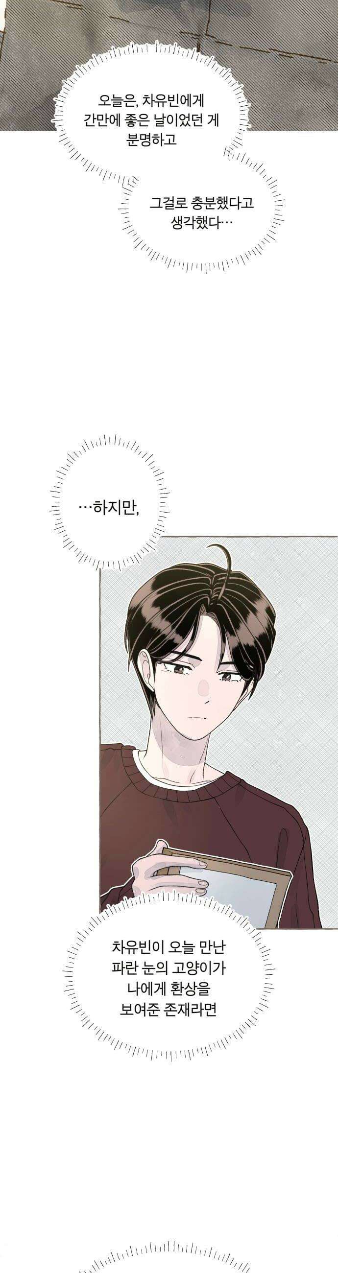 아이캣치유 11 100 40