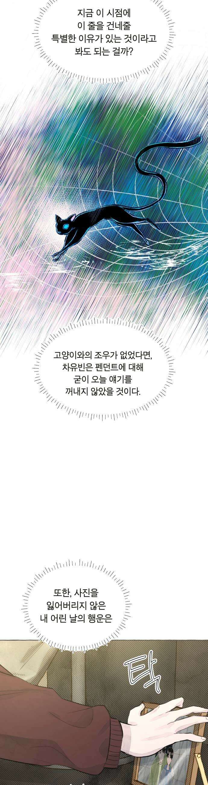 아이캣치유 11 100 41