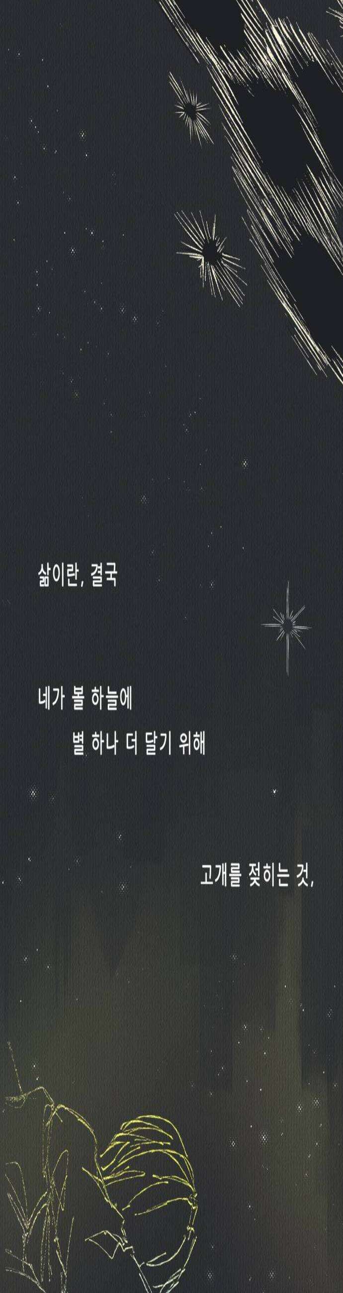아이캣치유 14 별 3