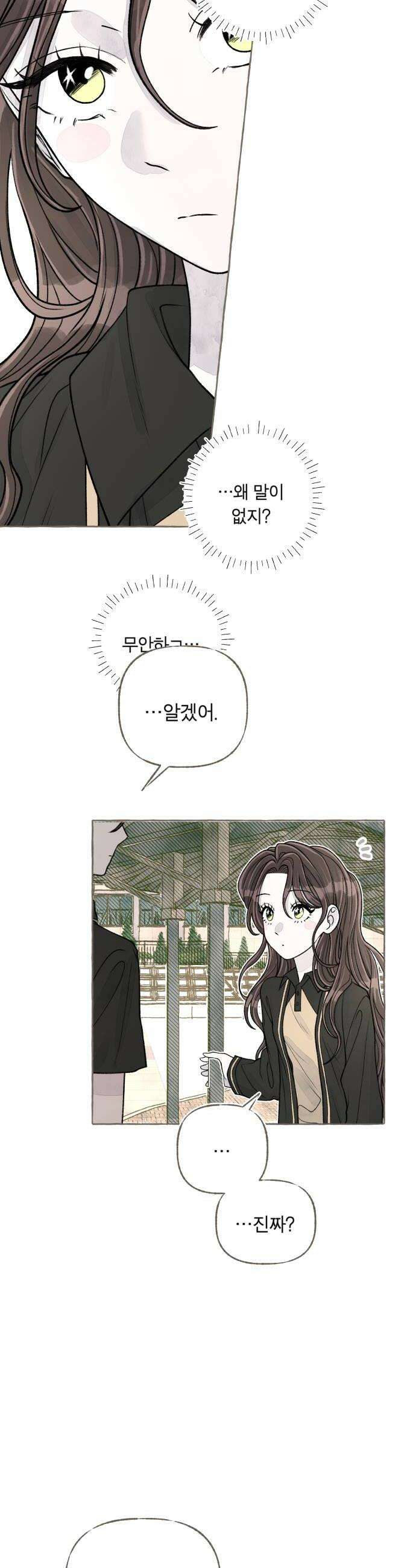 아이캣치유 14 별 24