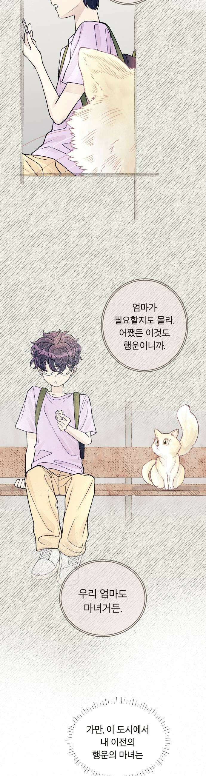 아이캣치유 14 별 47