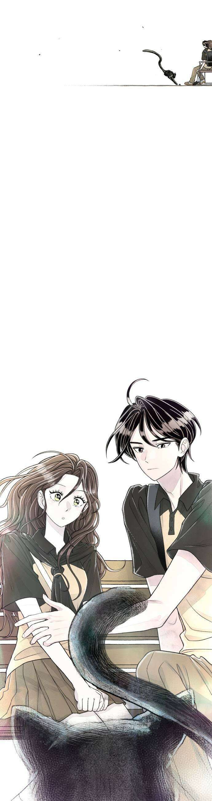 아이캣치유 14 별 51