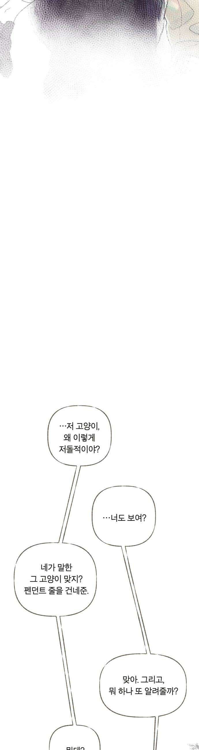아이캣치유 14 별 52