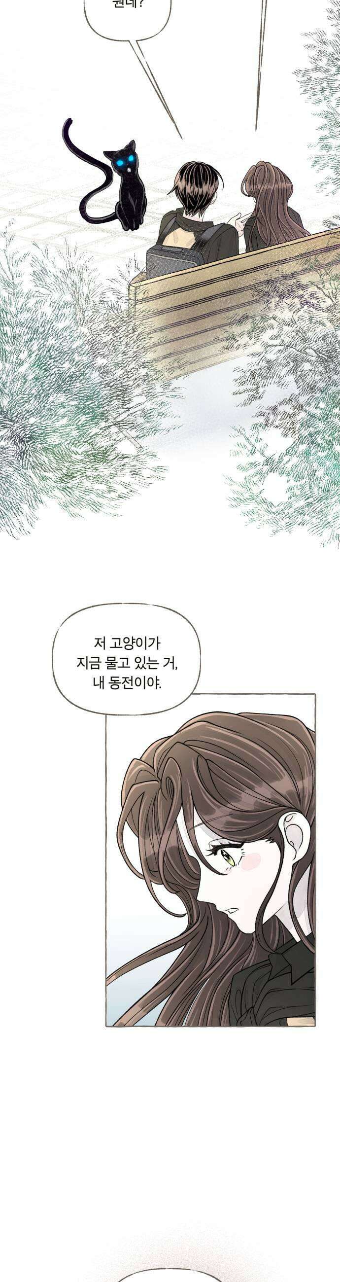 아이캣치유 14 별 53