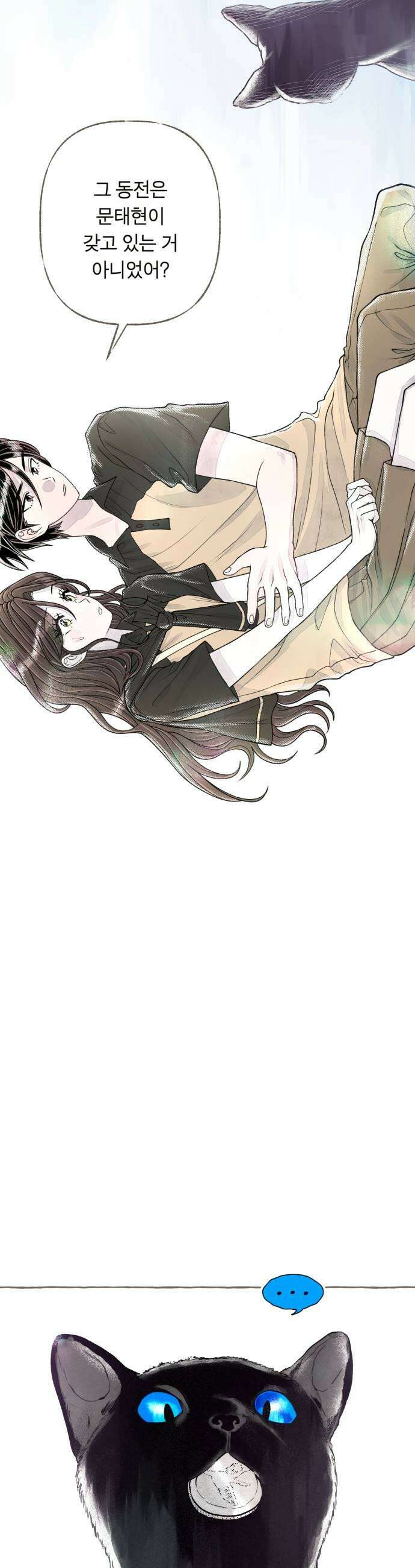 아이캣치유 14 별 55