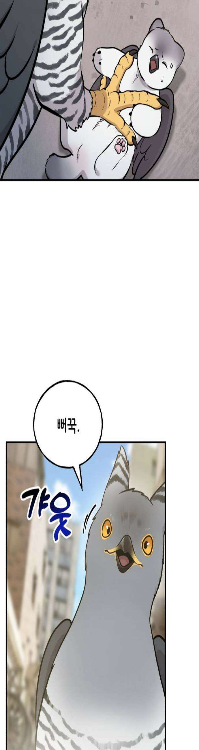 안녕 오목눈이 그리핀! 39화 뻐꾸욱 3