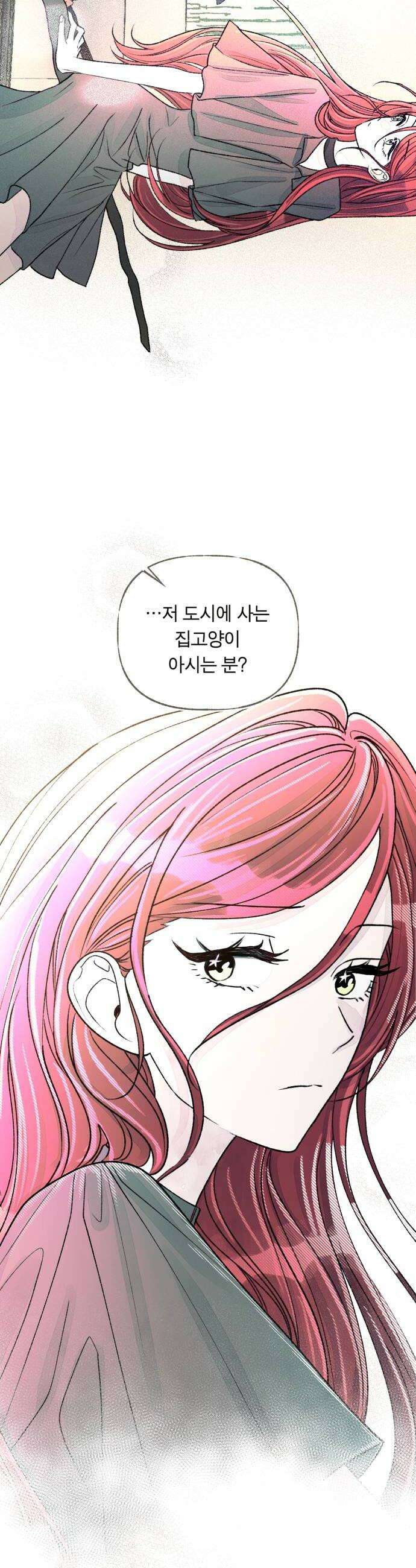 아이캣치유 20 부뚜막과 고양이 상 8