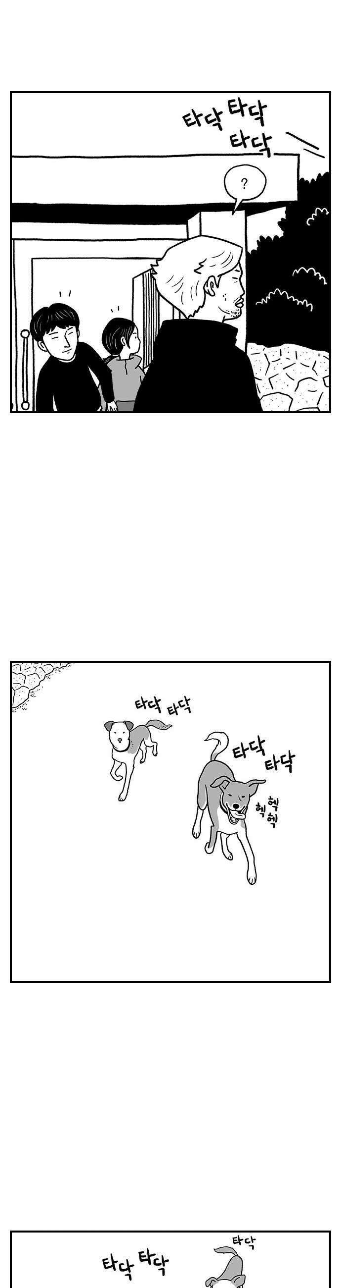펫로스클럽 21 보목이와 마을이 5