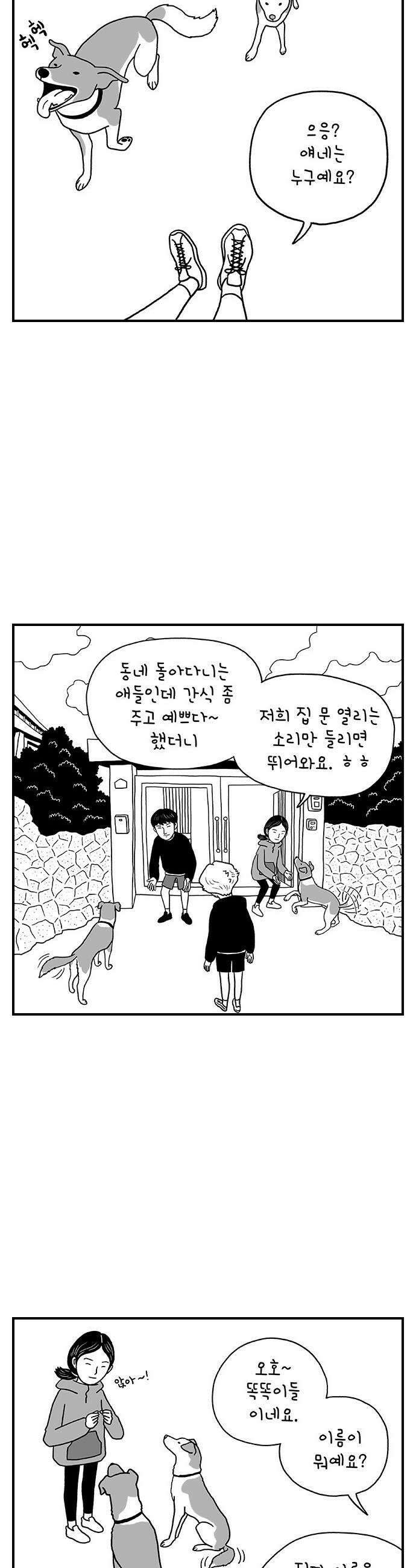 펫로스클럽 21 보목이와 마을이 6