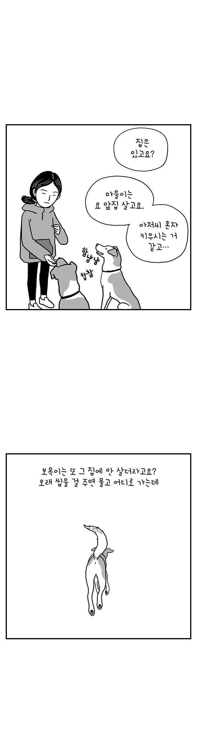 펫로스클럽 21 보목이와 마을이 8