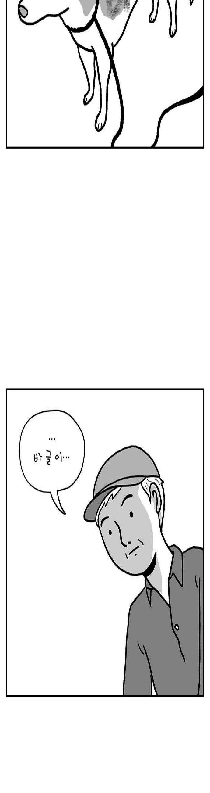 펫로스클럽 22 마을이 혹은 바글이 4