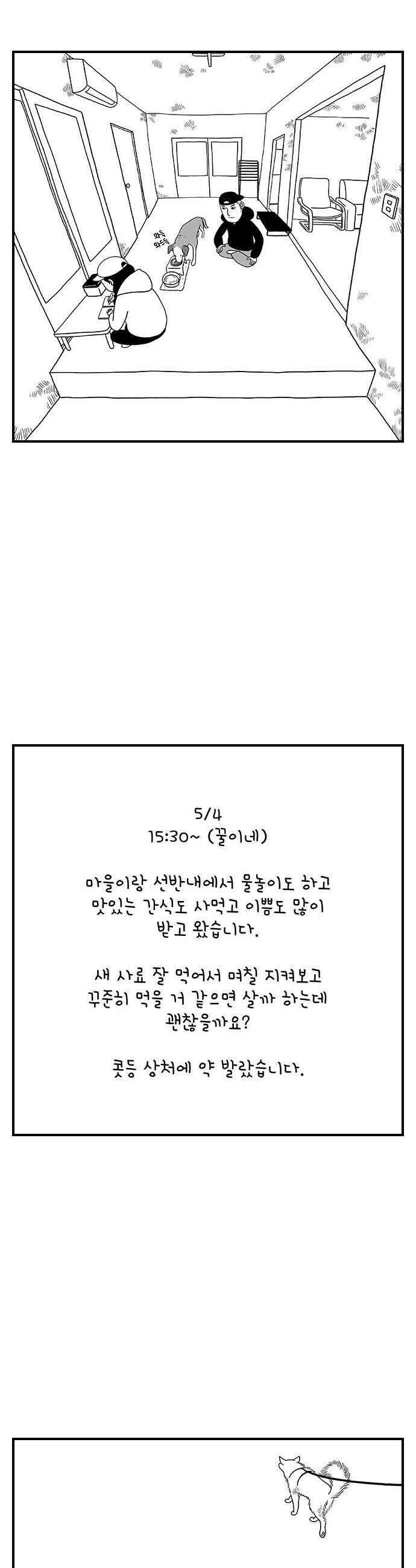 펫로스클럽 22 마을이 혹은 바글이 13