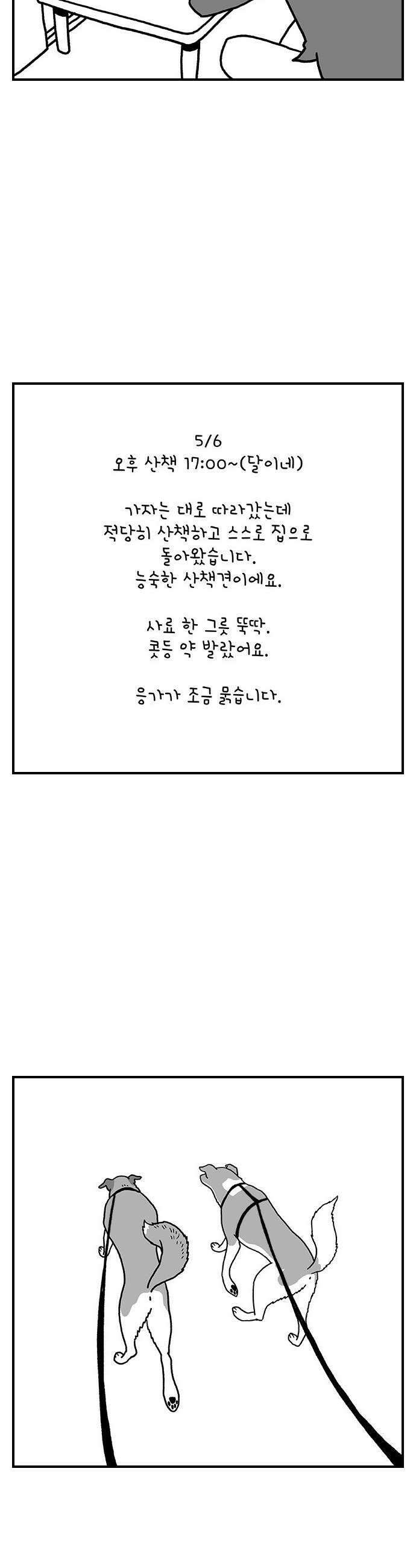 펫로스클럽 22 마을이 혹은 바글이 15