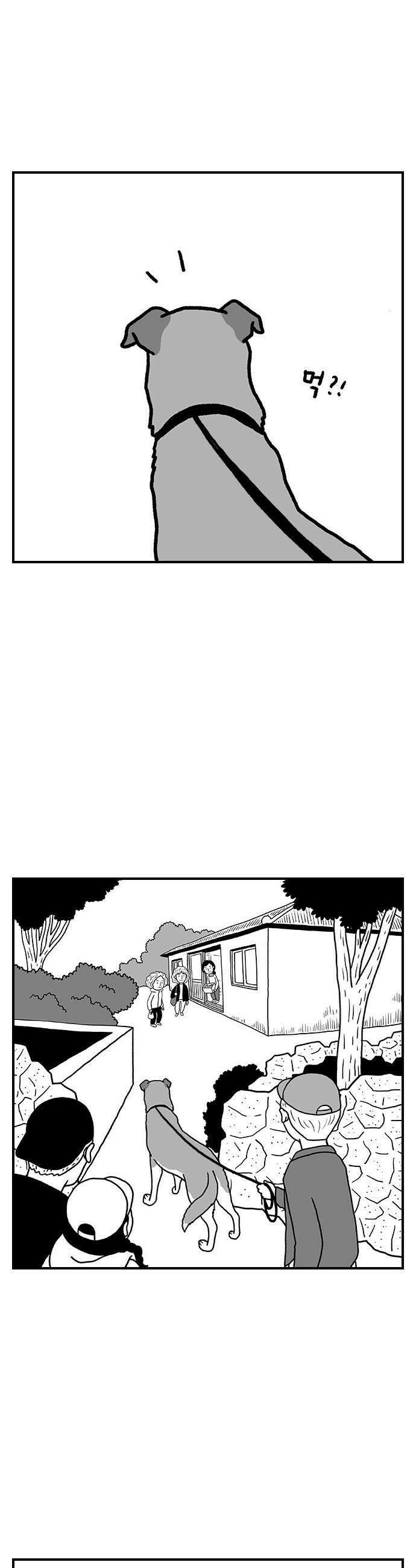 펫로스클럽 22 마을이 혹은 바글이 20