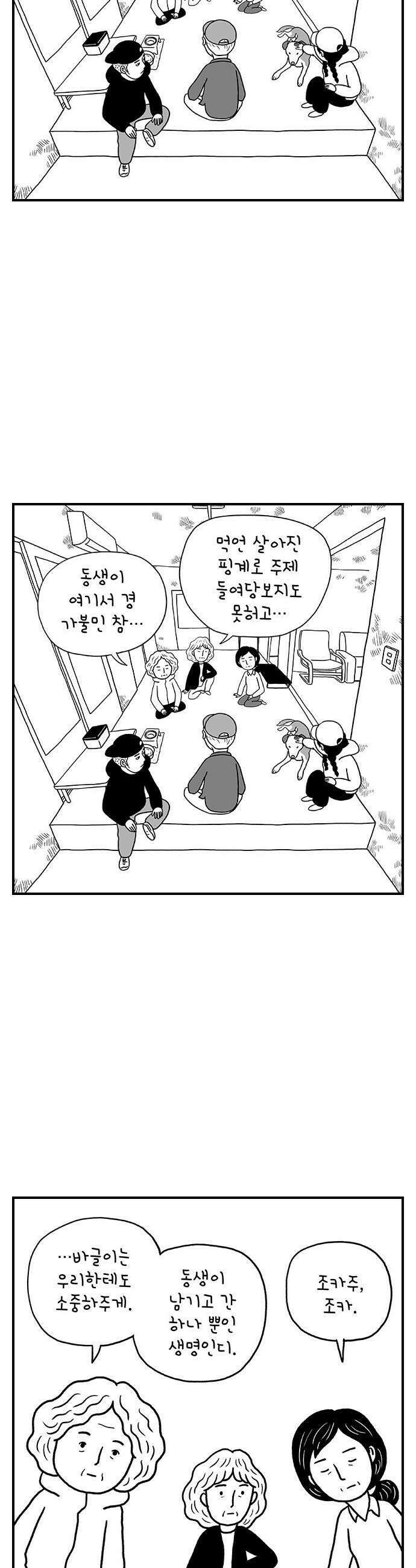펫로스클럽 22 마을이 혹은 바글이 22