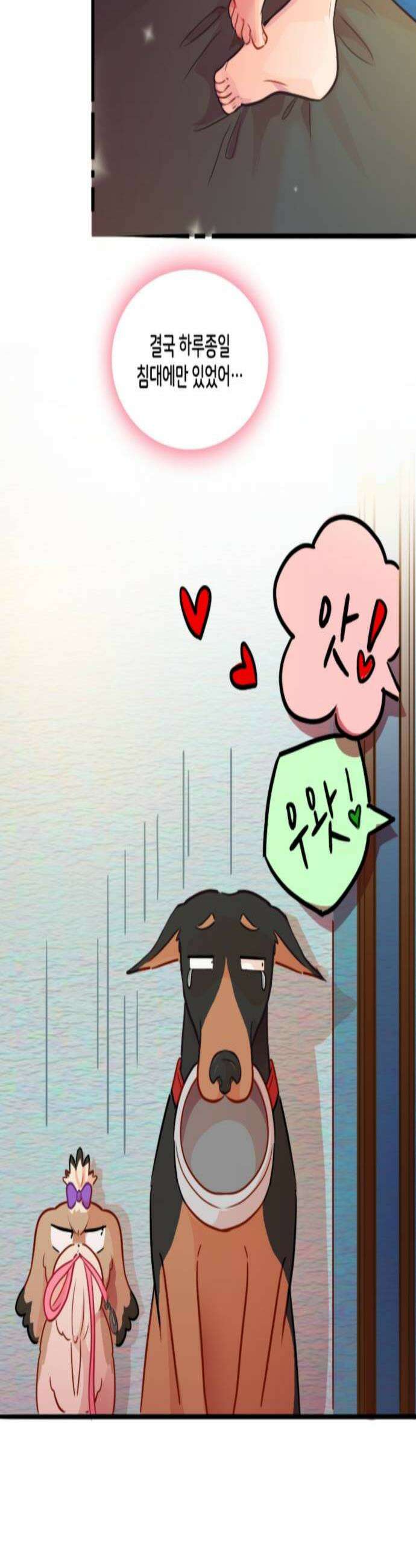 너랑 걷는 개 좋아 64화 3