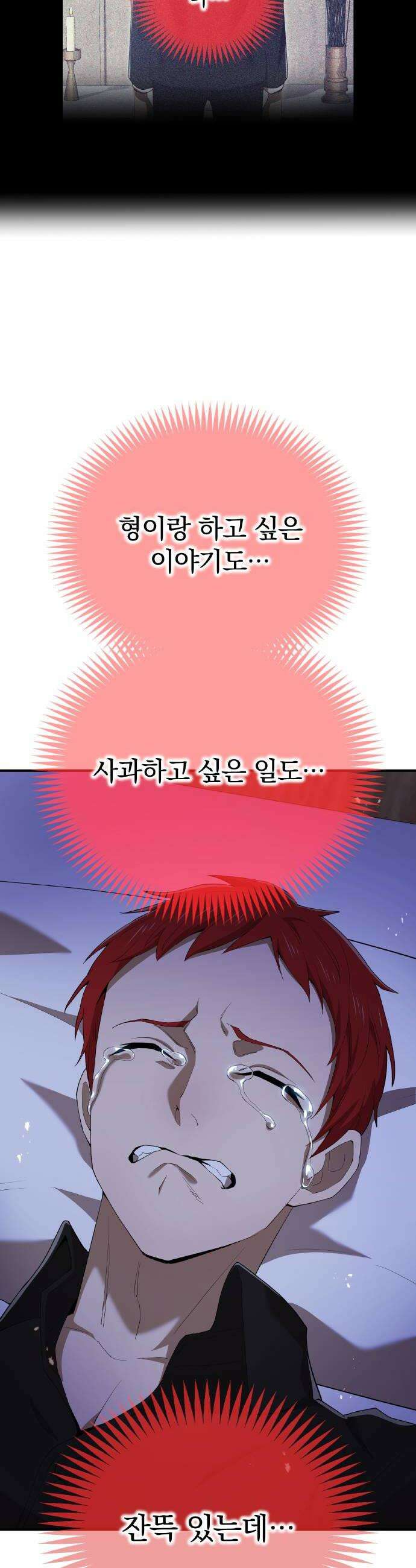 나만 최강 초월자 92화 형과 동생 6