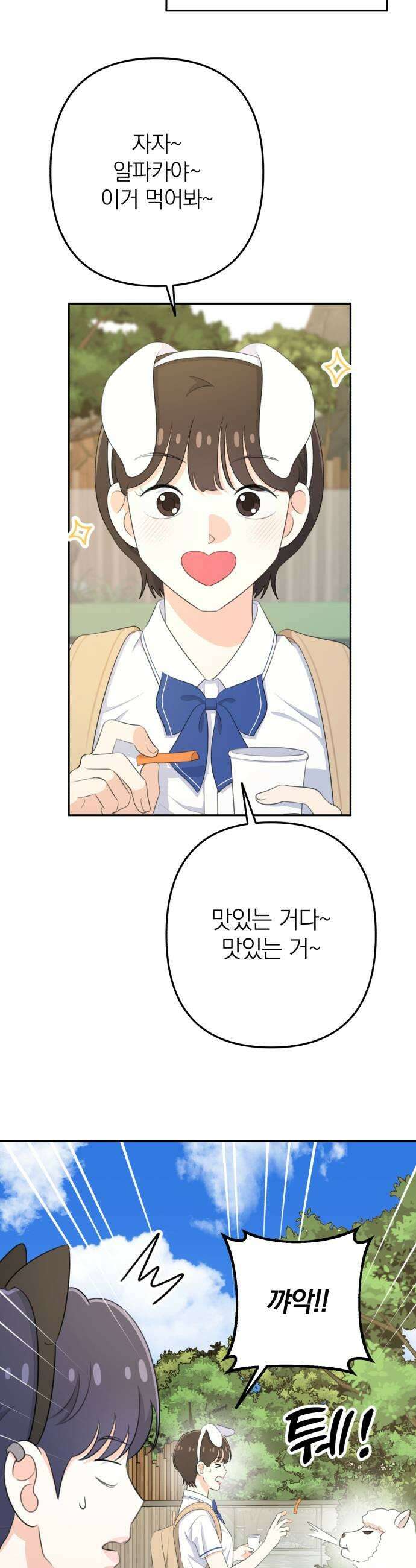 솔로스쿨 72화 43
