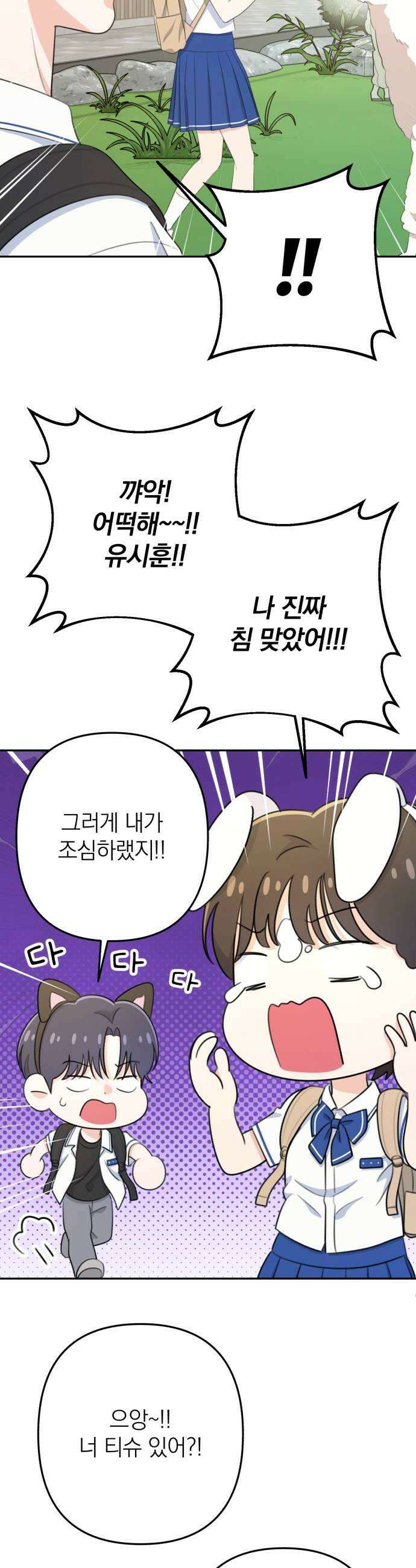 솔로스쿨 72화 44