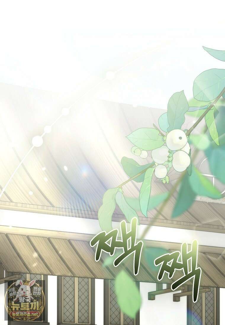 알브레히트의 진주 21화 1