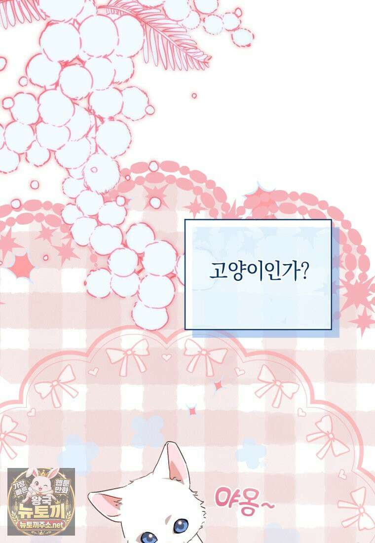 백호 가문의 아기 솜뭉치 7화 13