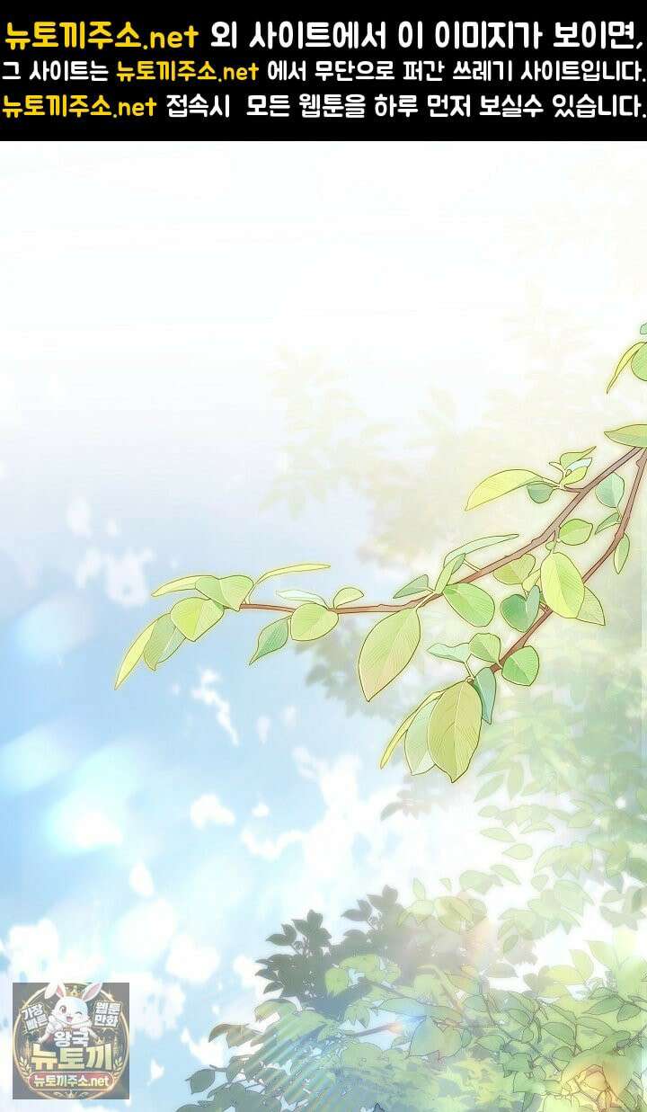 바이올렛의 한마디 13화 1