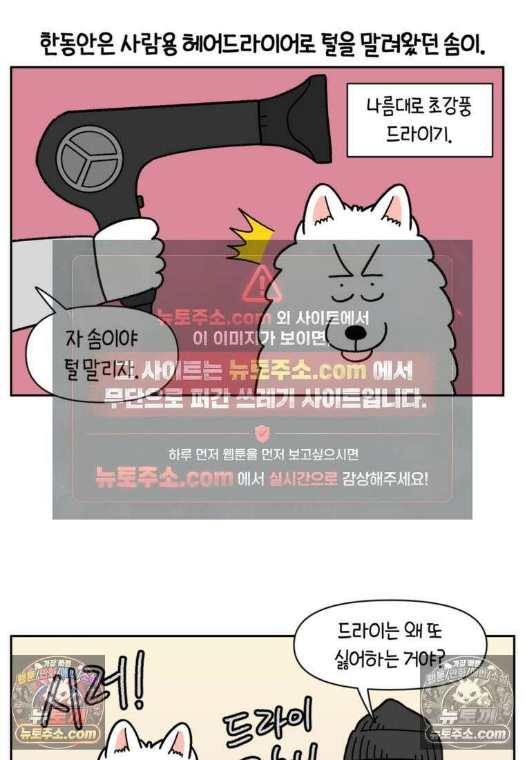 극한견주 시즌2 50화 초강풍 에어탱크 드라이기 2