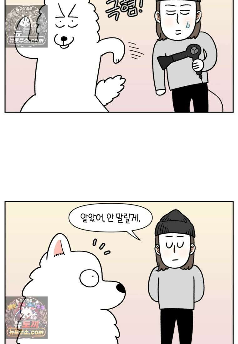 극한견주 시즌2 50화 초강풍 에어탱크 드라이기 3