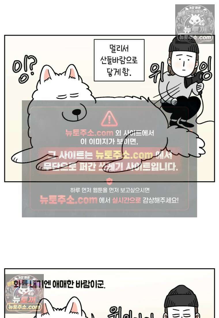 극한견주 시즌2 50화 초강풍 에어탱크 드라이기 5