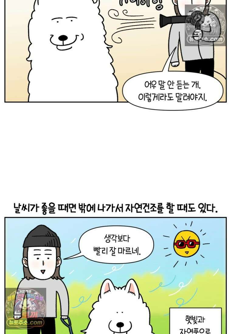 극한견주 시즌2 50화 초강풍 에어탱크 드라이기 6