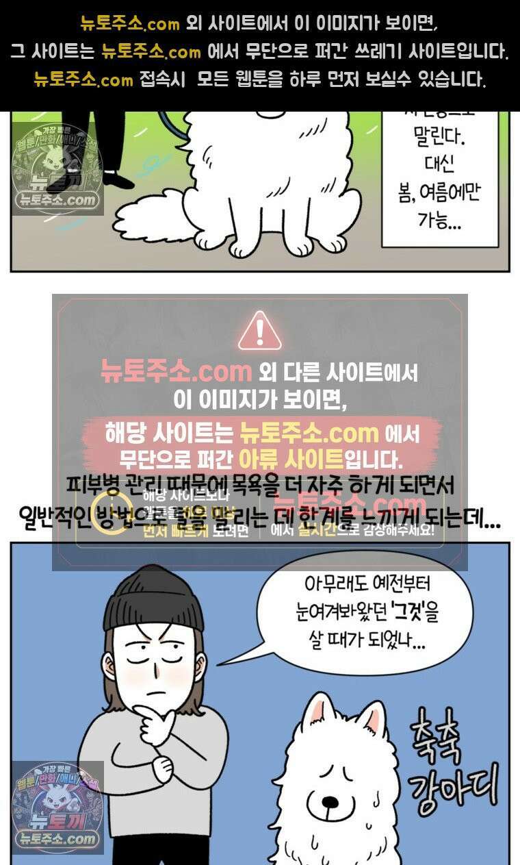 극한견주 시즌2 50화 초강풍 에어탱크 드라이기 7