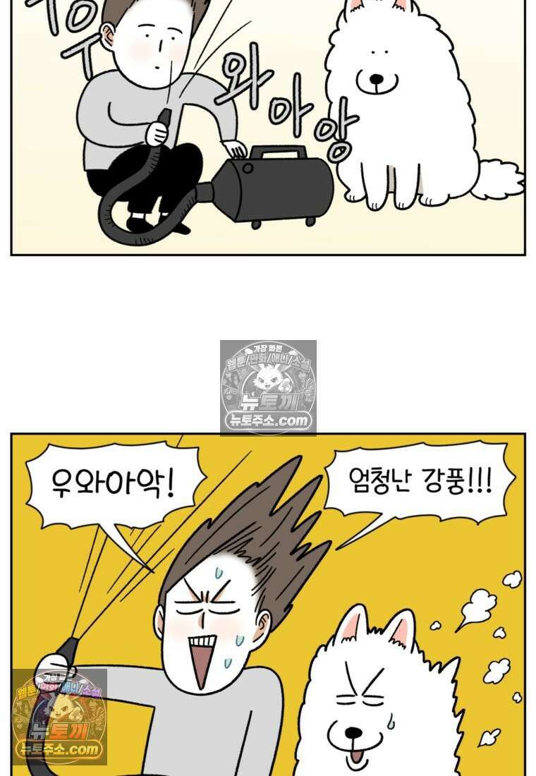 극한견주 시즌2 50화 초강풍 에어탱크 드라이기 11