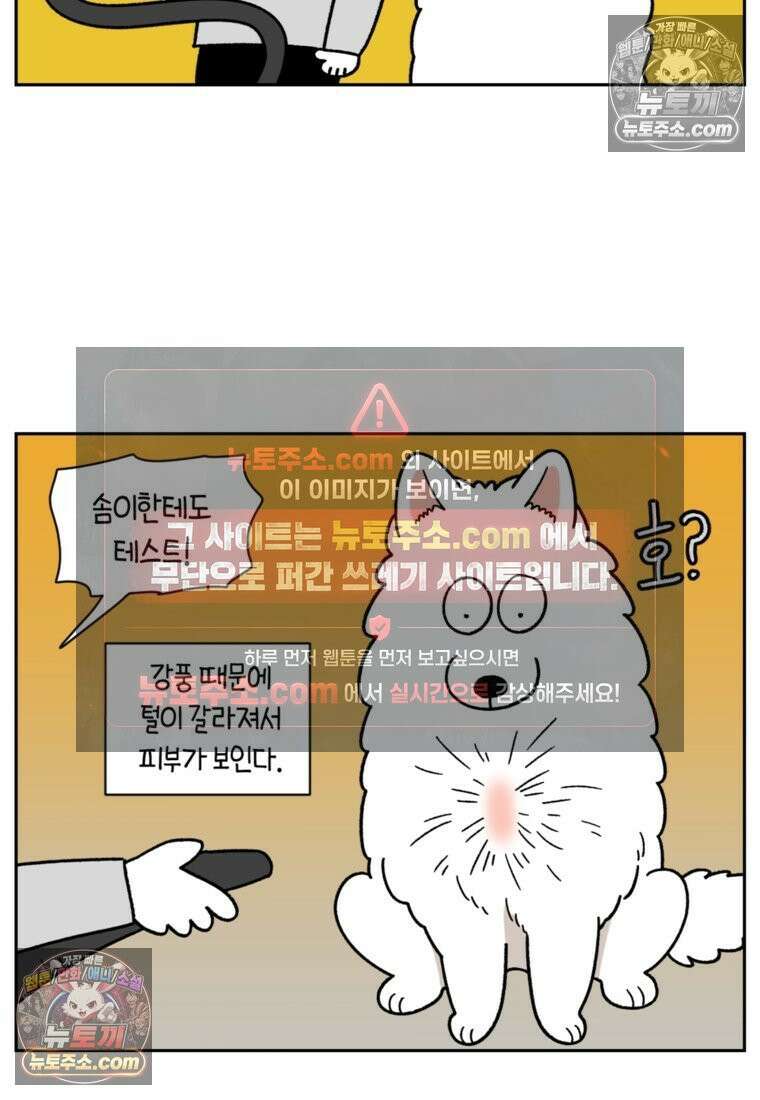 극한견주 시즌2 50화 초강풍 에어탱크 드라이기 12