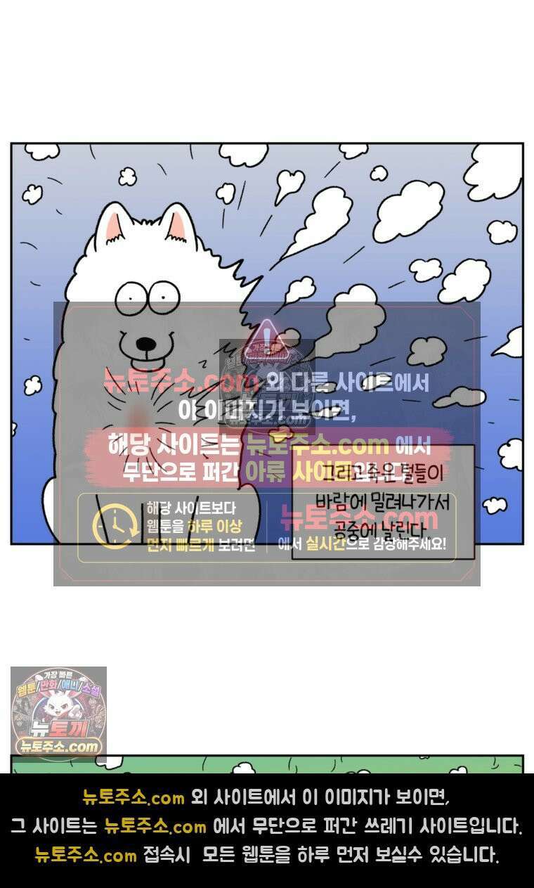 극한견주 시즌2 50화 초강풍 에어탱크 드라이기 13