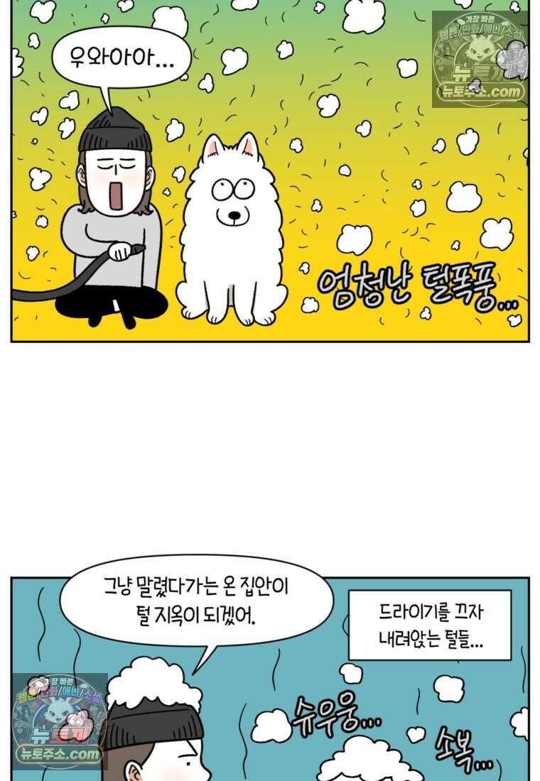 극한견주 시즌2 50화 초강풍 에어탱크 드라이기 14