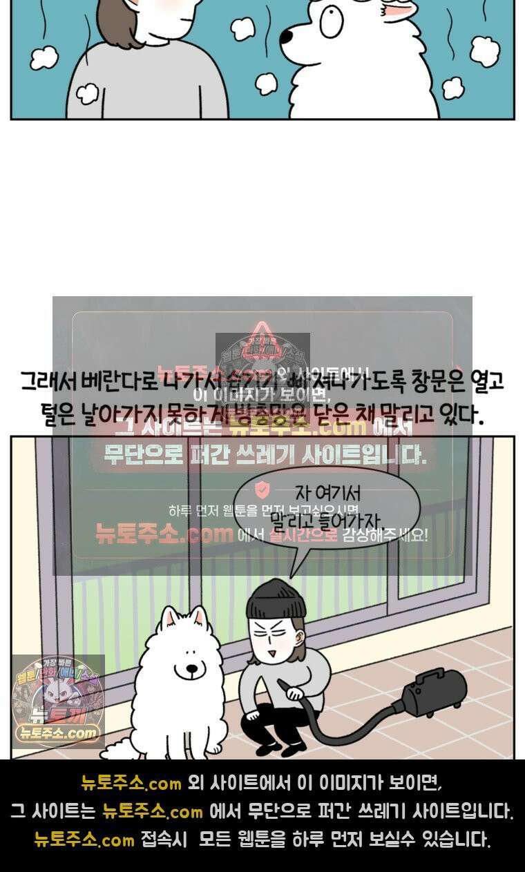 극한견주 시즌2 50화 초강풍 에어탱크 드라이기 15