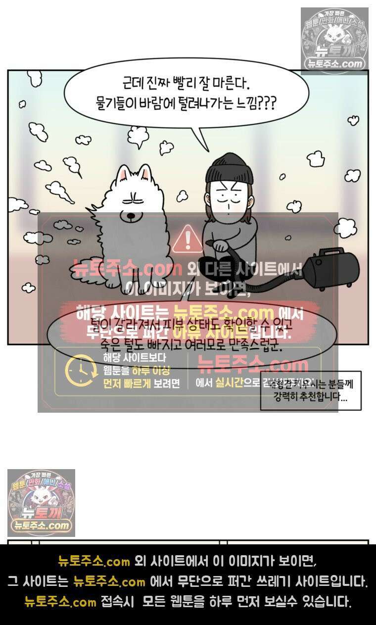 극한견주 시즌2 50화 초강풍 에어탱크 드라이기 17